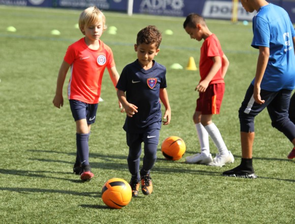 Le planning des entraînements de la semaine