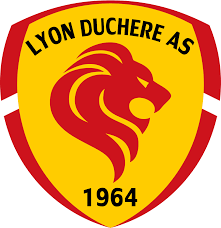 Lyon la Duchère